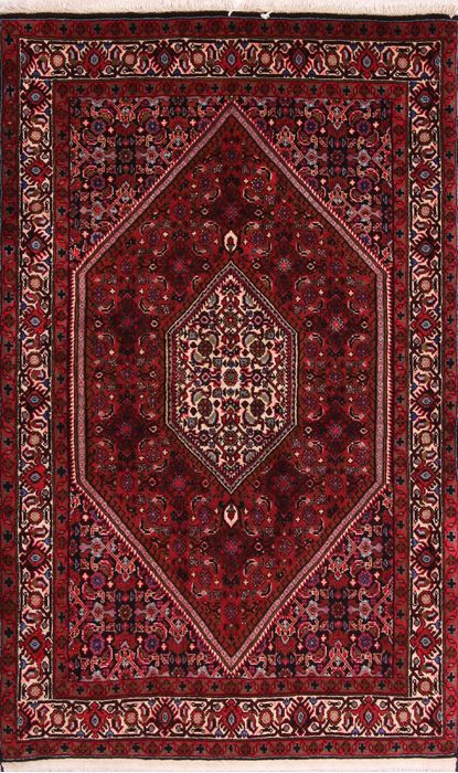 Bidjar Multicolor Hand Knotted 31 X 410  Area Rug 155-75847 Image 0