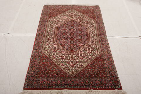 Bidjar Multicolor Hand Knotted 211 X 57  Area Rug 155-75848 Image 1