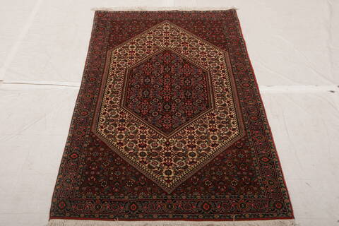 Bidjar Multicolor Hand Knotted 211 X 57  Area Rug 155-75848 Image 2