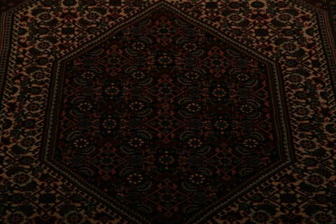 Bidjar Multicolor Hand Knotted 211 X 57  Area Rug 155-75848 Image 3
