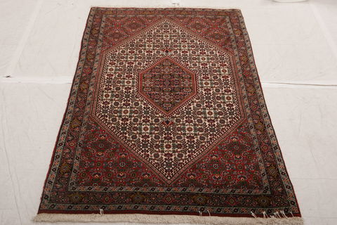 Bidjar Multicolor Hand Knotted 31 X 56  Area Rug 155-75849 Image 1