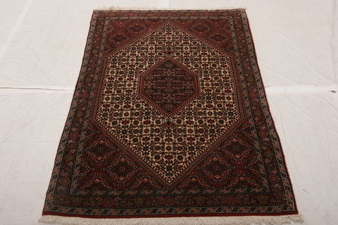 Bidjar Multicolor Hand Knotted 31 X 56  Area Rug 155-75849 Image 2