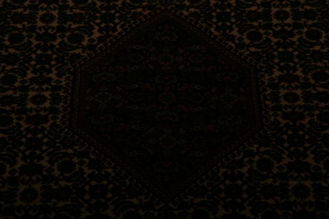 Bidjar Multicolor Hand Knotted 31 X 56  Area Rug 155-75849 Image 3