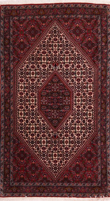Bidjar Multicolor Hand Knotted 31 X 56  Area Rug 155-75849 Image 0