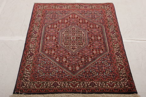 Bidjar Multicolor Hand Knotted 25 X 47  Area Rug 155-75851 Image 1