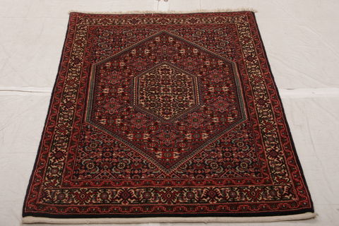 Bidjar Multicolor Hand Knotted 25 X 47  Area Rug 155-75851 Image 2