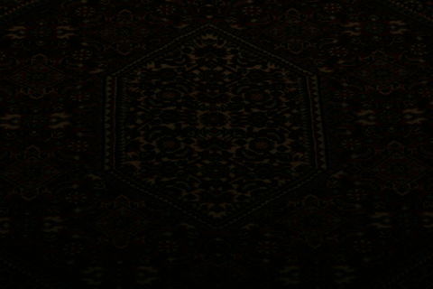 Bidjar Multicolor Hand Knotted 25 X 47  Area Rug 155-75851 Image 3