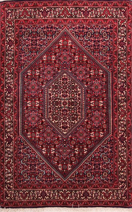 Bidjar Multicolor Hand Knotted 25 X 47  Area Rug 155-75851 Image 0