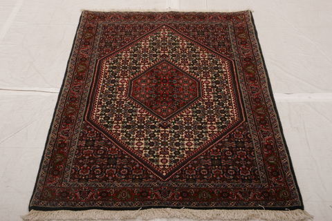 Bidjar Multicolor Hand Knotted 33 X 51  Area Rug 155-75852 Image 2