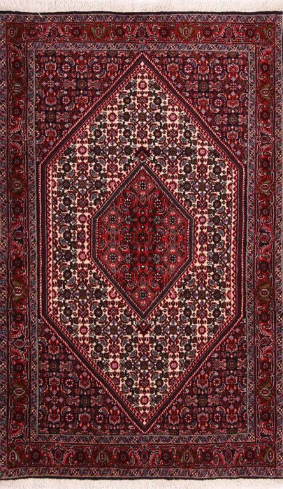 Bidjar Multicolor Hand Knotted 33 X 51  Area Rug 155-75852 Image 0