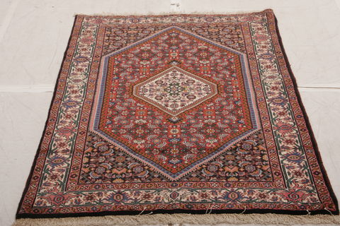 Bidjar Multicolor Hand Knotted 34 X 411  Area Rug 155-75857 Image 1