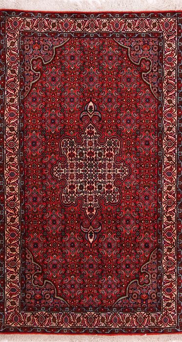 Bidjar Multicolor Hand Knotted 31 X 53  Area Rug 155-75859 Image 0