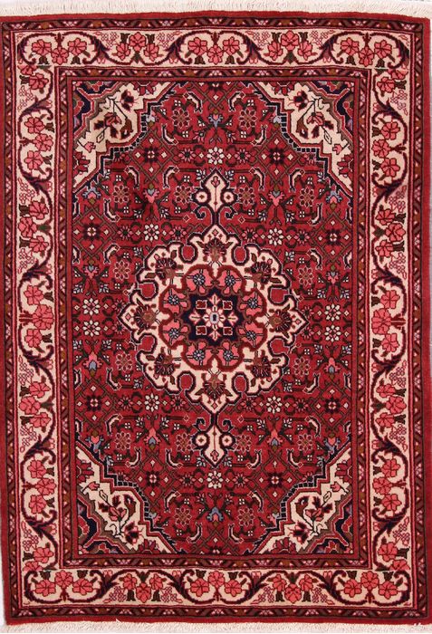 Bidjar Multicolor Hand Knotted 35 X 49 Area Rug 155-75860 Image 0