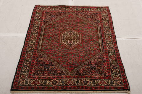 Bidjar Multicolor Hand Knotted 211 X 49  Area Rug 155-75861 Image 1
