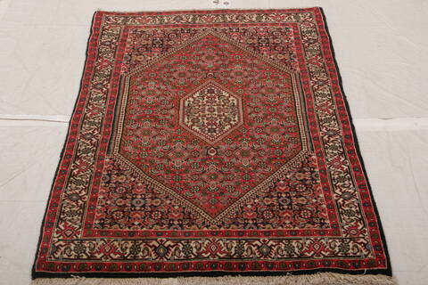 Bidjar Multicolor Hand Knotted 211 X 49  Area Rug 155-75861 Image 2
