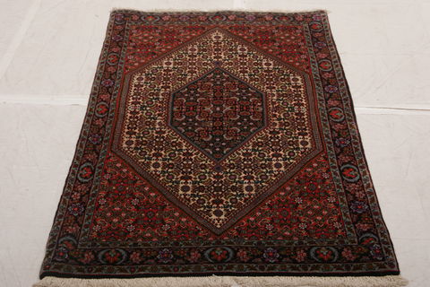 Bidjar Multicolor Hand Knotted 211 X 410  Area Rug 155-75862 Image 1