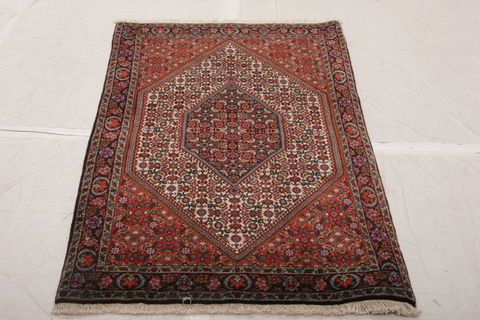 Bidjar Multicolor Hand Knotted 211 X 410  Area Rug 155-75862 Image 2