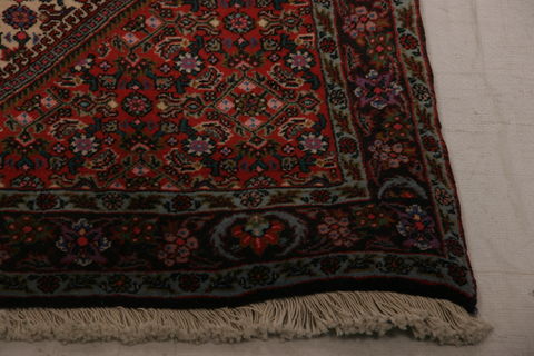 Bidjar Multicolor Hand Knotted 211 X 410  Area Rug 155-75862 Image 3