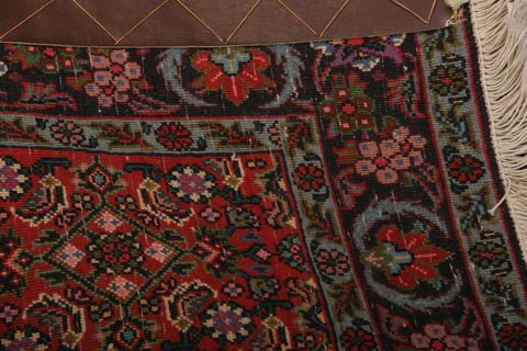 Bidjar Multicolor Hand Knotted 211 X 410  Area Rug 155-75862 Image 4