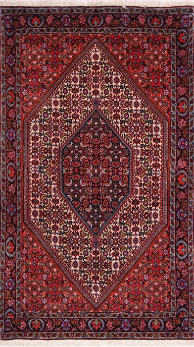 Bidjar Multicolor Hand Knotted 211 X 410  Area Rug 155-75862 Image 0