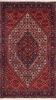 Bidjar Multicolor Hand Knotted 211 X 410  Area Rug 155-75862 Thumb 0
