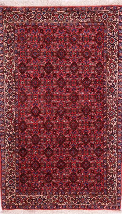 Bidjar Multicolor Hand Knotted 33 X 53  Area Rug 155-75864 Image 0