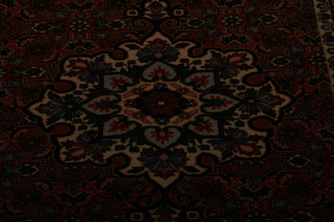 Bidjar Multicolor Hand Knotted 29 X 48  Area Rug 155-75866 Image 3
