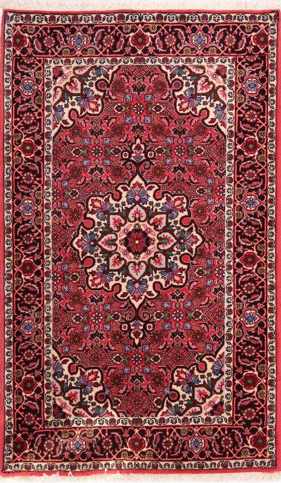 Bidjar Multicolor Hand Knotted 29 X 48  Area Rug 155-75866 Image 0