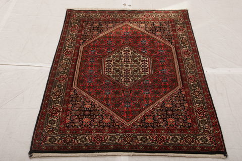 Bidjar Multicolor Hand Knotted 210 X 49 Area Rug 155-75867 Image 2