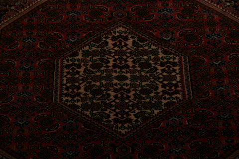 Bidjar Multicolor Hand Knotted 210 X 49 Area Rug 155-75867 Image 3
