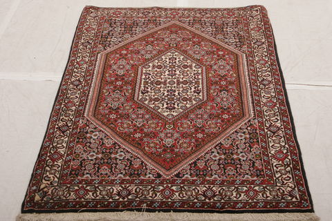 Bidjar Multicolor Hand Knotted 32 X 49  Area Rug 155-75870 Image 1