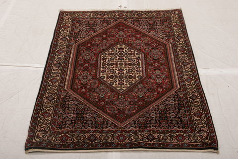 Bidjar Multicolor Hand Knotted 32 X 49  Area Rug 155-75870 Image 2