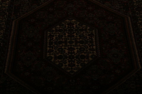 Bidjar Multicolor Hand Knotted 32 X 49  Area Rug 155-75870 Image 3