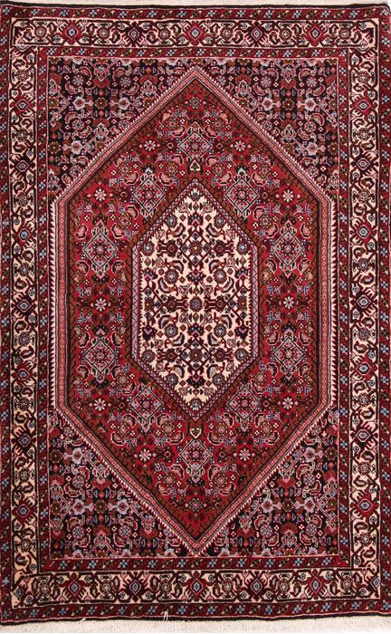 Bidjar Multicolor Hand Knotted 32 X 49  Area Rug 155-75870 Image 0