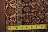 Bidjar Multicolor Hand Knotted 32 X 53  Area Rug 155-75883 Thumb 9