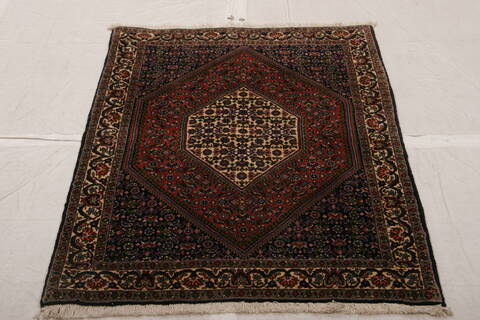 Bidjar Multicolor Hand Knotted 32 X 410  Area Rug 155-75884 Image 1