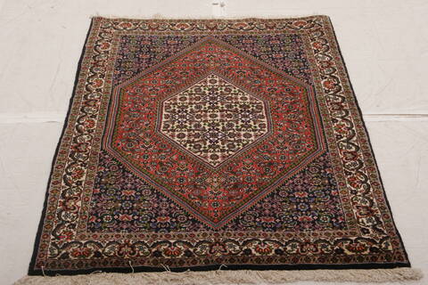 Bidjar Multicolor Hand Knotted 32 X 410  Area Rug 155-75884 Image 2