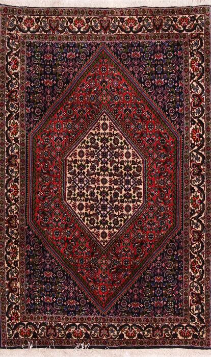Bidjar Multicolor Hand Knotted 32 X 410  Area Rug 155-75884 Image 0