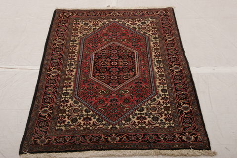Bidjar Multicolor Hand Knotted 29 X 410  Area Rug 155-75885 Image 1