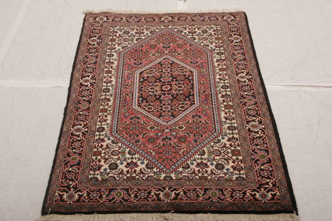 Bidjar Multicolor Hand Knotted 29 X 410  Area Rug 155-75885 Image 2