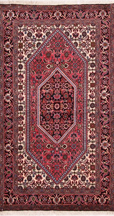 Bidjar Multicolor Hand Knotted 29 X 410  Area Rug 155-75885 Image 0