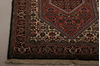 Bidjar Multicolor Hand Knotted 29 X 410  Area Rug 155-75885 Thumb 4