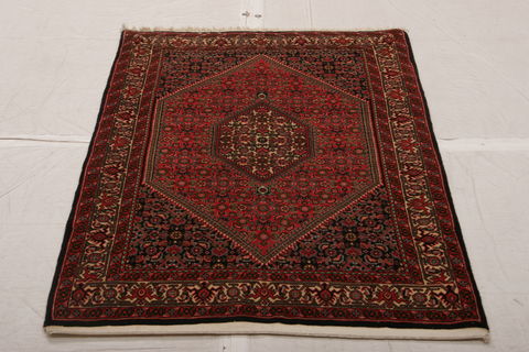 Bidjar Multicolor Hand Knotted 210 X 49  Area Rug 155-75887 Image 1