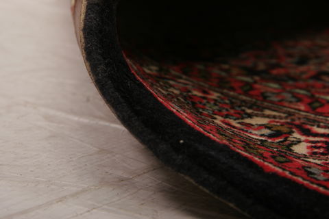 Bidjar Multicolor Hand Knotted 210 X 49  Area Rug 155-75887 Image 4