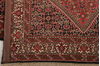 Bidjar Multicolor Hand Knotted 210 X 49  Area Rug 155-75887 Thumb 5