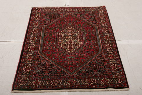Bidjar Multicolor Hand Knotted 31 X 410  Area Rug 155-75888 Image 1