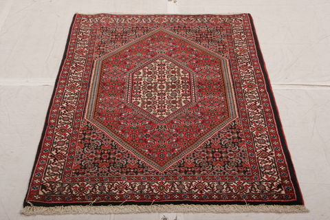 Bidjar Multicolor Hand Knotted 31 X 410  Area Rug 155-75888 Image 2