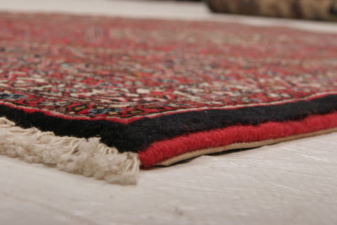 Bidjar Multicolor Hand Knotted 31 X 410  Area Rug 155-75888 Image 4