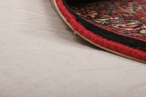 Bidjar Multicolor Hand Knotted 31 X 410  Area Rug 155-75888 Image 5