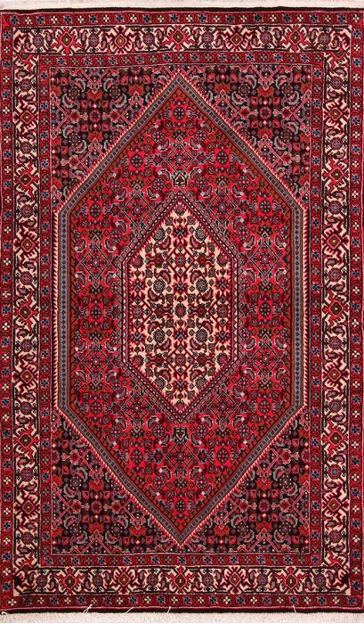 Bidjar Multicolor Hand Knotted 31 X 410  Area Rug 155-75888 Image 0